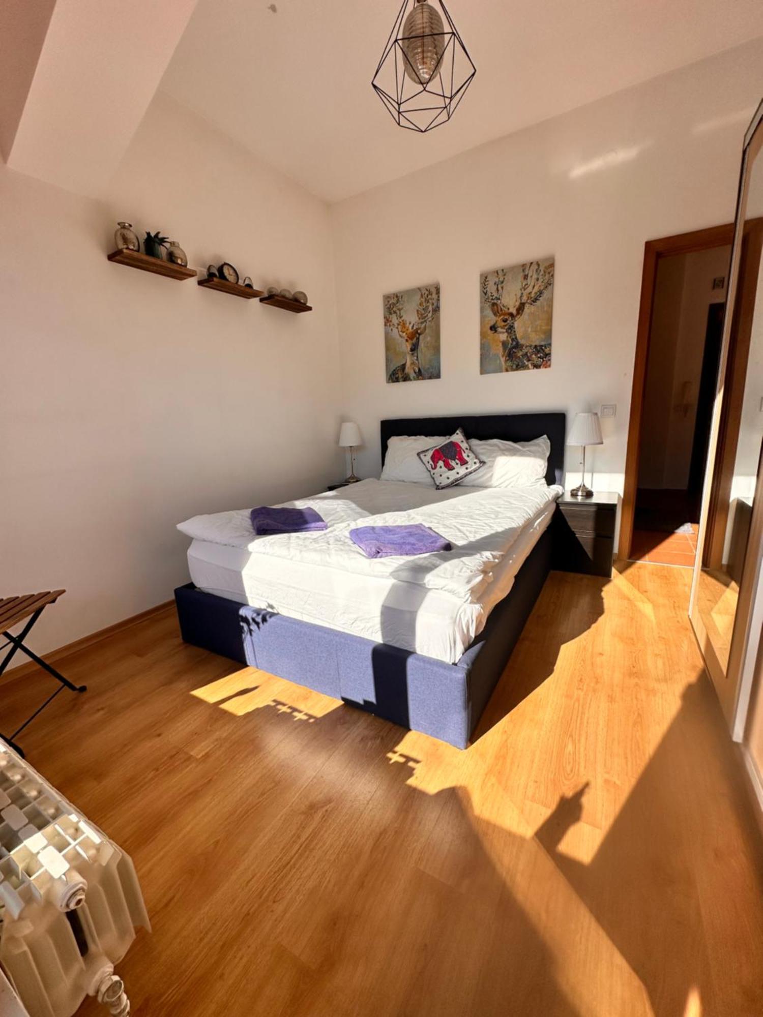 Pm Services Semiramida Apartments Borowec Zewnętrze zdjęcie